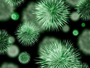 virus_e_ameacas.jpg