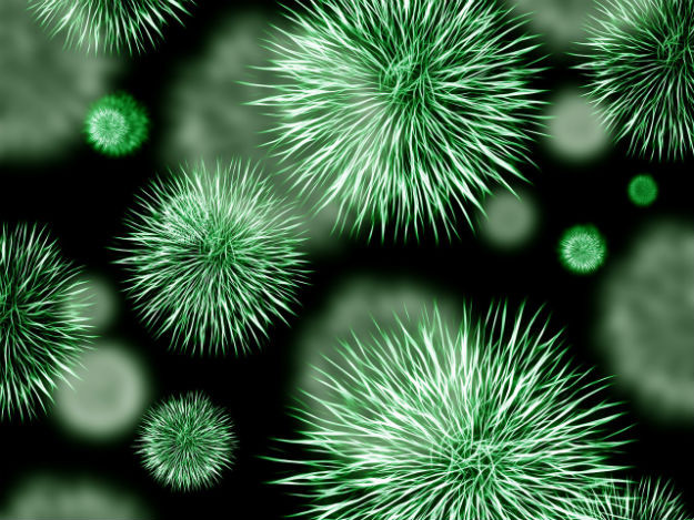 virus_e_ameacas.jpg