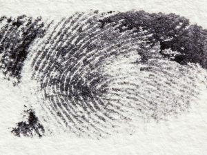 cibercrime_digital_biometria.jpg