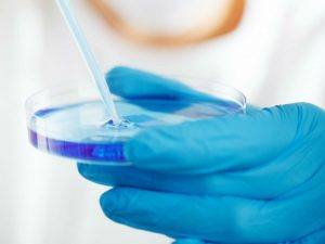 virus_testes_laboratorio.jpg