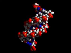 dna_saude.jpg