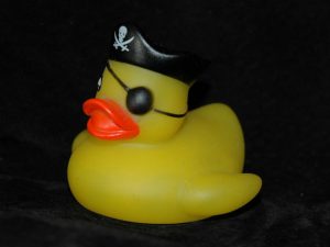 pirata_pato_.jpg