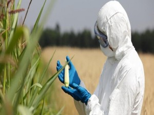 Indústria de biotecnologia cresce mesmo com baixo investimento
