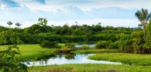BNDES aplica mais de R$ 33 milhões em projetos de pesquisa tecnológica na Amazônia