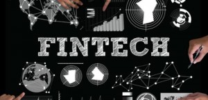O que fintechs e abelhas têm em comum?