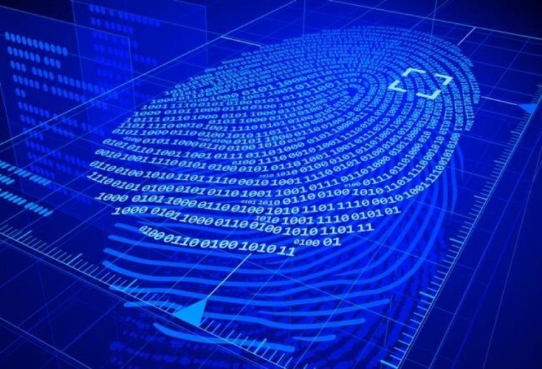 Ataques a servidores web saltam 128% em um ano