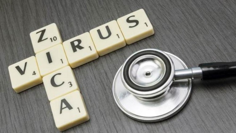 Argentina e Brasil querem financiamento europeu para pesquisa sobre Zika