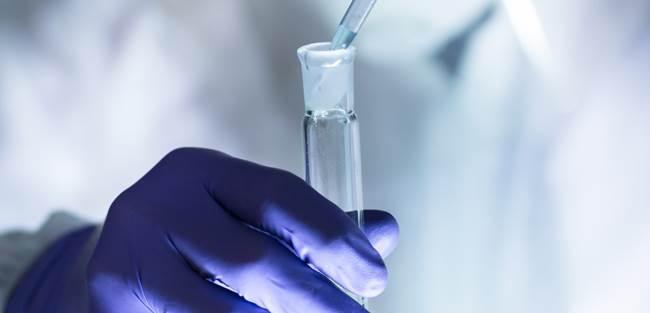 Aedes: pesquisadores do RS anunciam parceria para desenvolver tecnologias