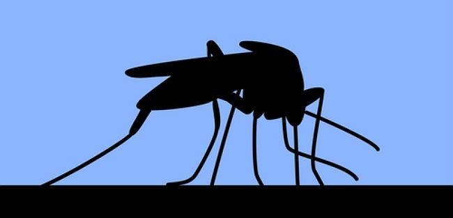 IBM fornece poder computacional para pesquisar vírus Zika