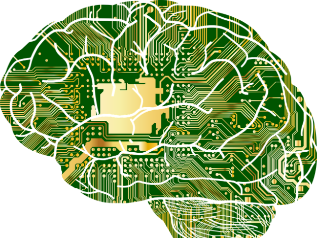 cerebro_circuitos.png