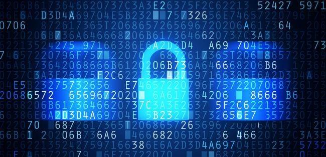 Brecha de segurança em site de conteúdo adulto expõe mais de 380 mil detalhes de logins