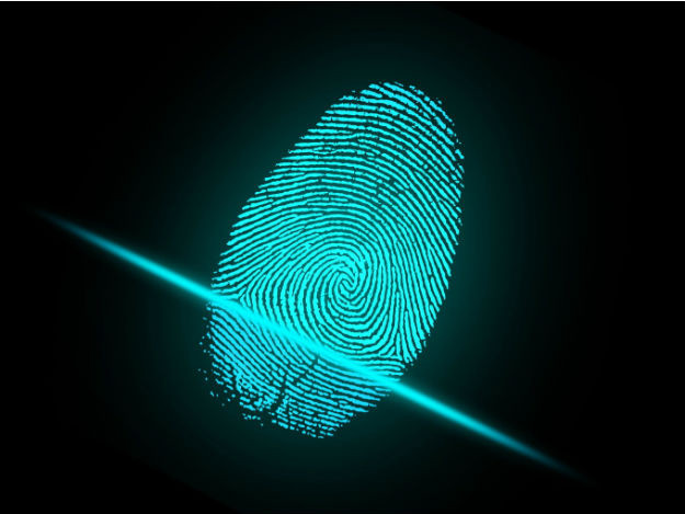 biometria.jpg