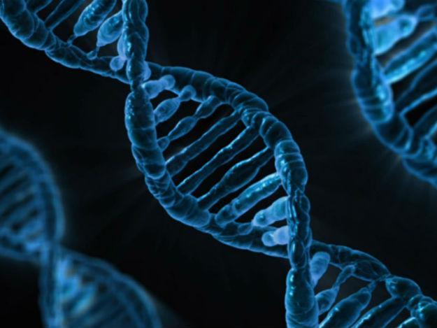 dna-625.jpg