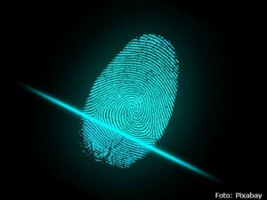 biometria.jpg