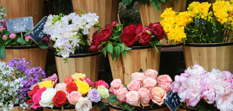 flores