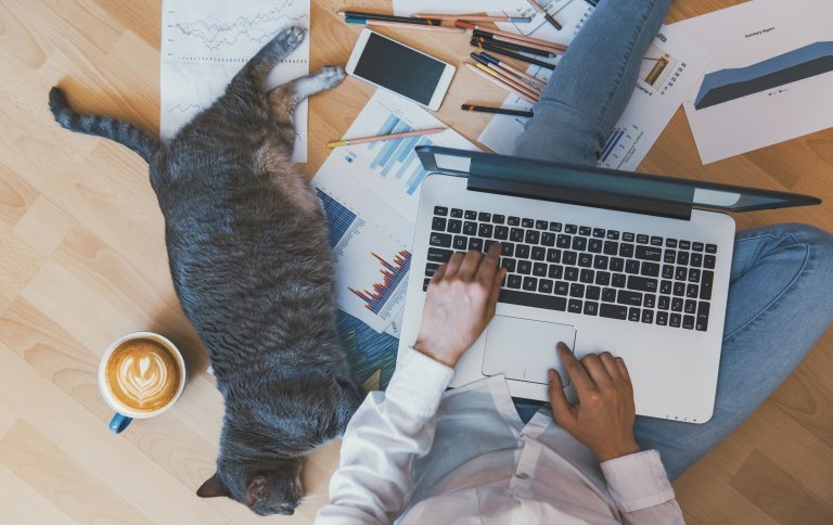rotina home-office