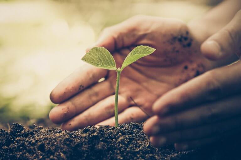 sustentabilidade