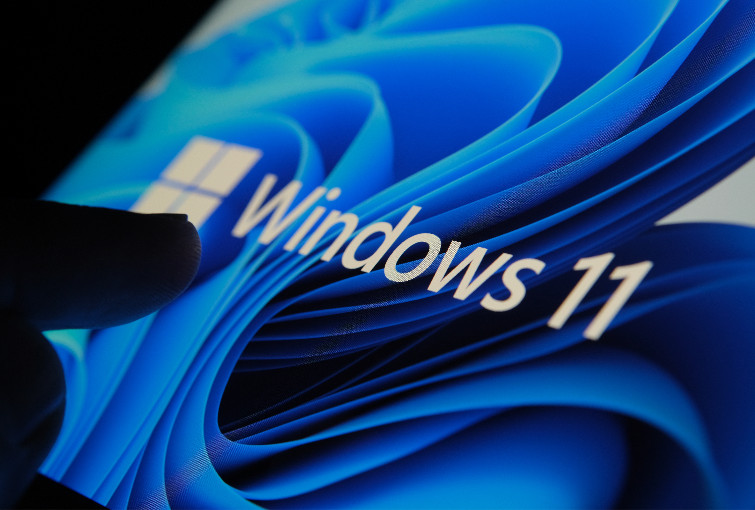 windows 11