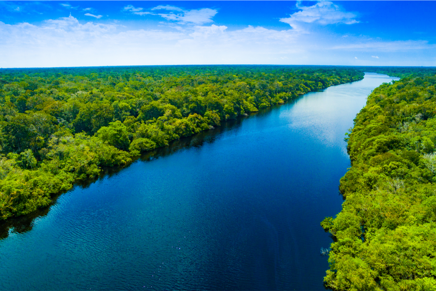 Rio Amazonas