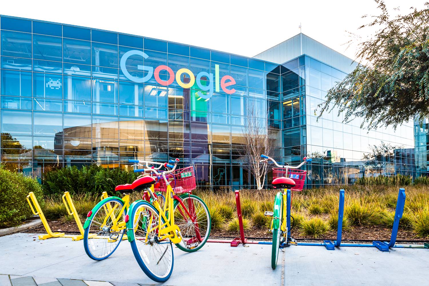 google, bard, google bard