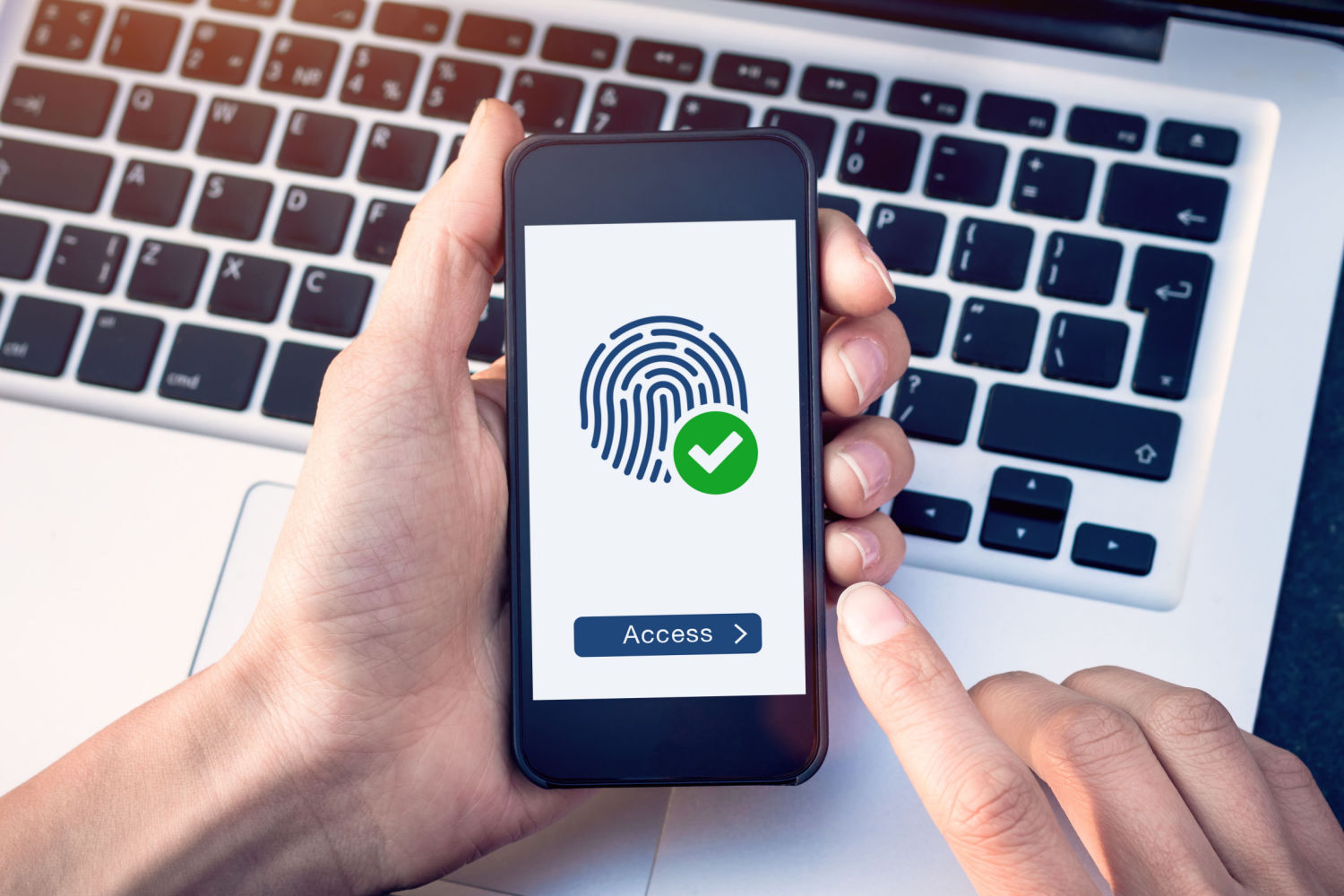 identificação, biometria