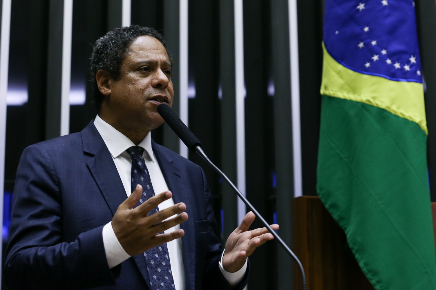 Orlando Silva, PL das fake news