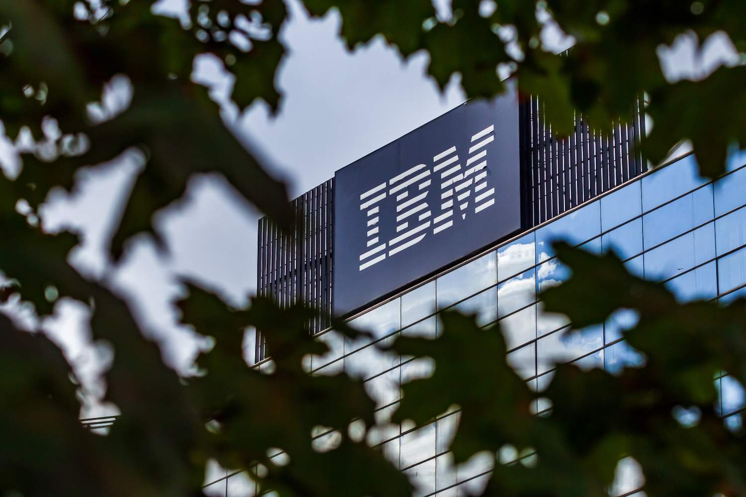 IBM