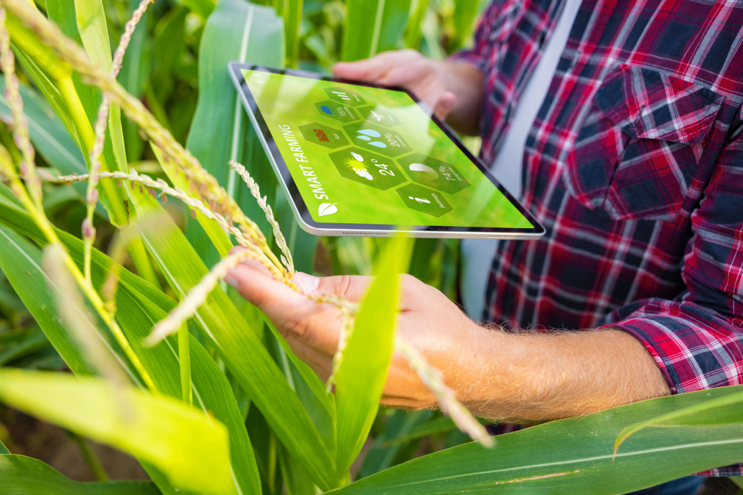 Agtech Varda Yara International