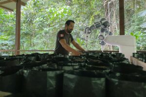 robô, ABB Robotics, Amazônia, floresta amazônica