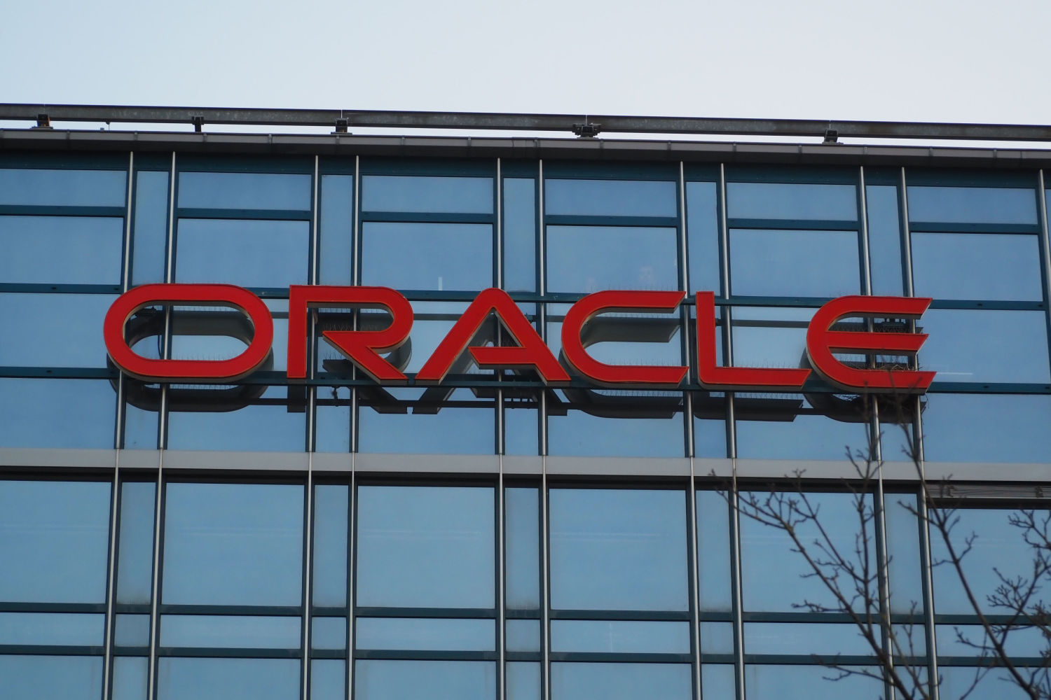 oracle