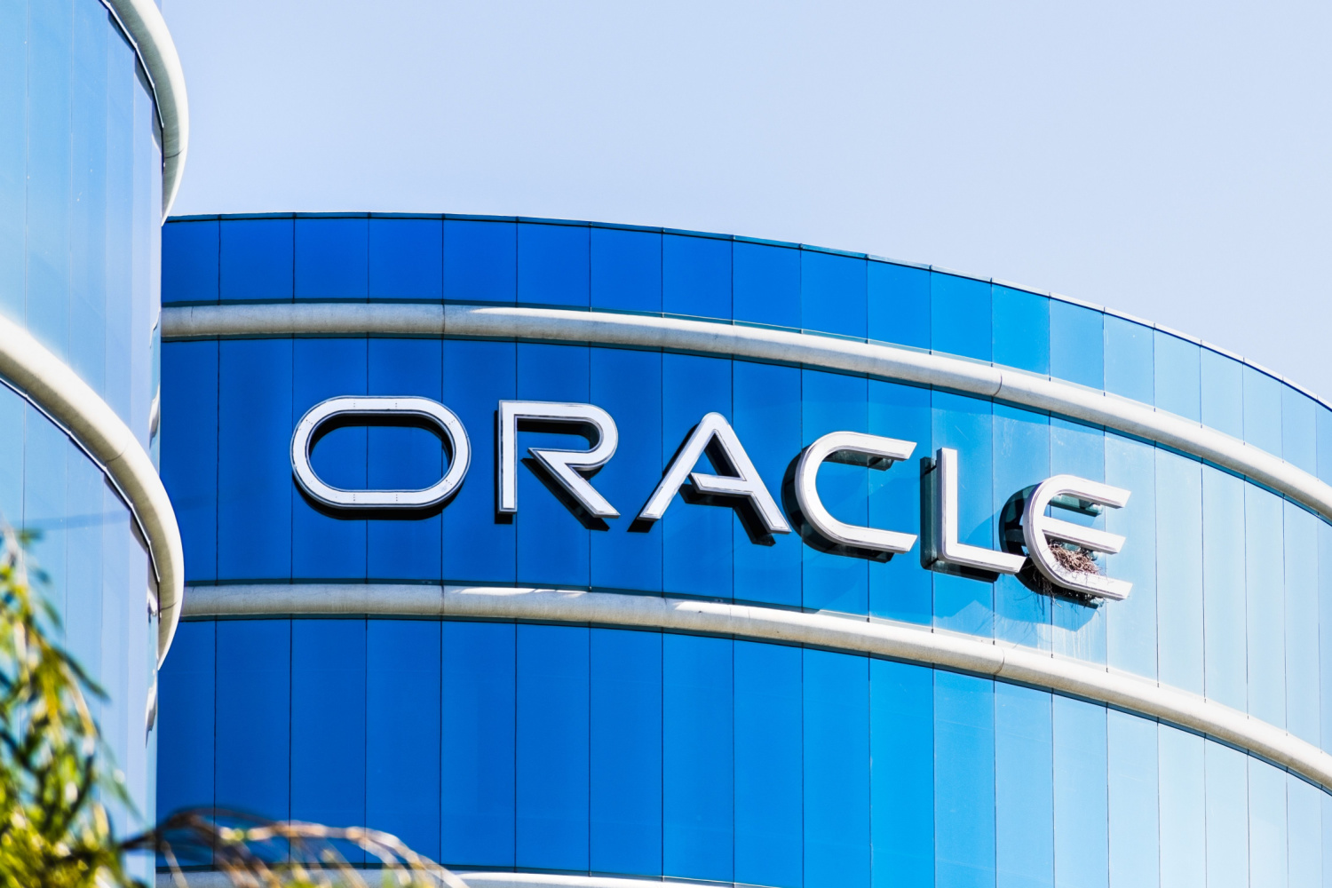 Oracle, receita