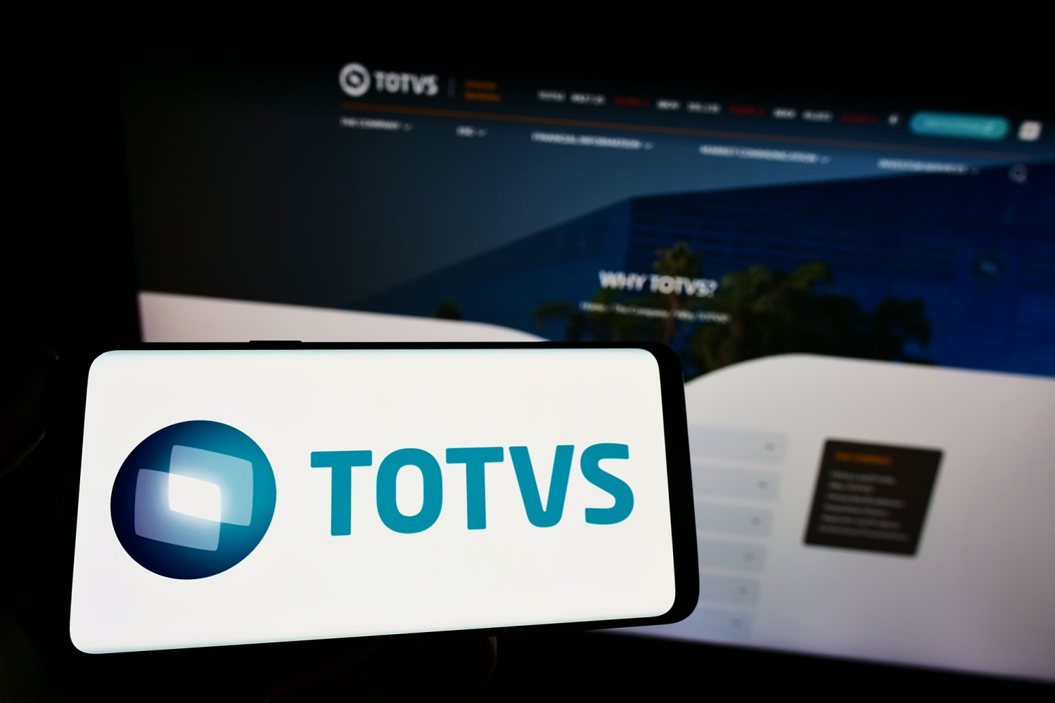 Totvs, franquias, franquia Totvs