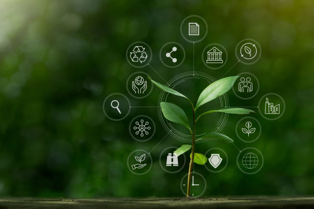 Imagem: Shutterstock