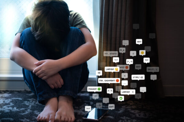 cyberbullying, lei