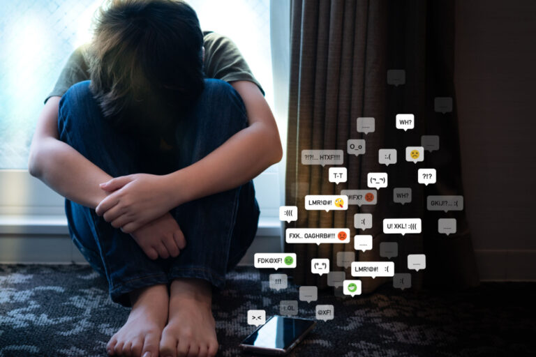 cyberbullying, lei