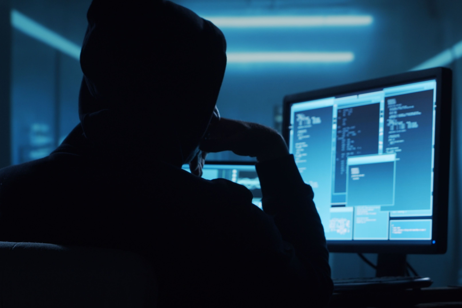 ataques DDoS