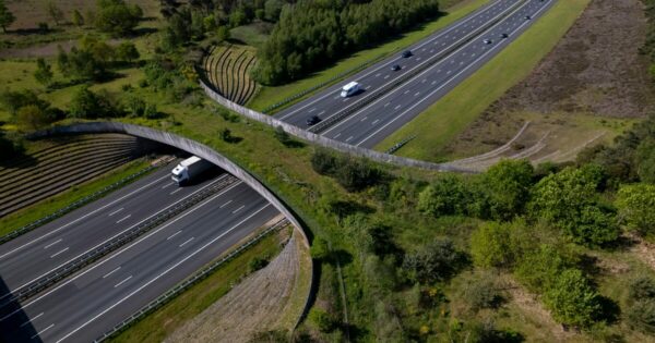 Imagem aérea de uma rodovia com múltiplas faixas de tráfego em ambos os sentidos, atravessada por uma ponte verde para a travessia segura de animais silvestres. A ponte é coberta por vegetação e integra-se à paisagem natural ao redor, conectando áreas de mata dos dois lados da estrada. Vários veículos estão em trânsito nas pistas, e a região ao redor é composta por áreas verdes com árvores e vegetação rasteira (biodiversidade, motiva)
